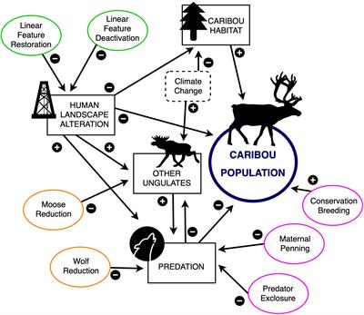 ‘WildLift’: An Open-Source Tool to Guide Decisions for Wildlife Conservation